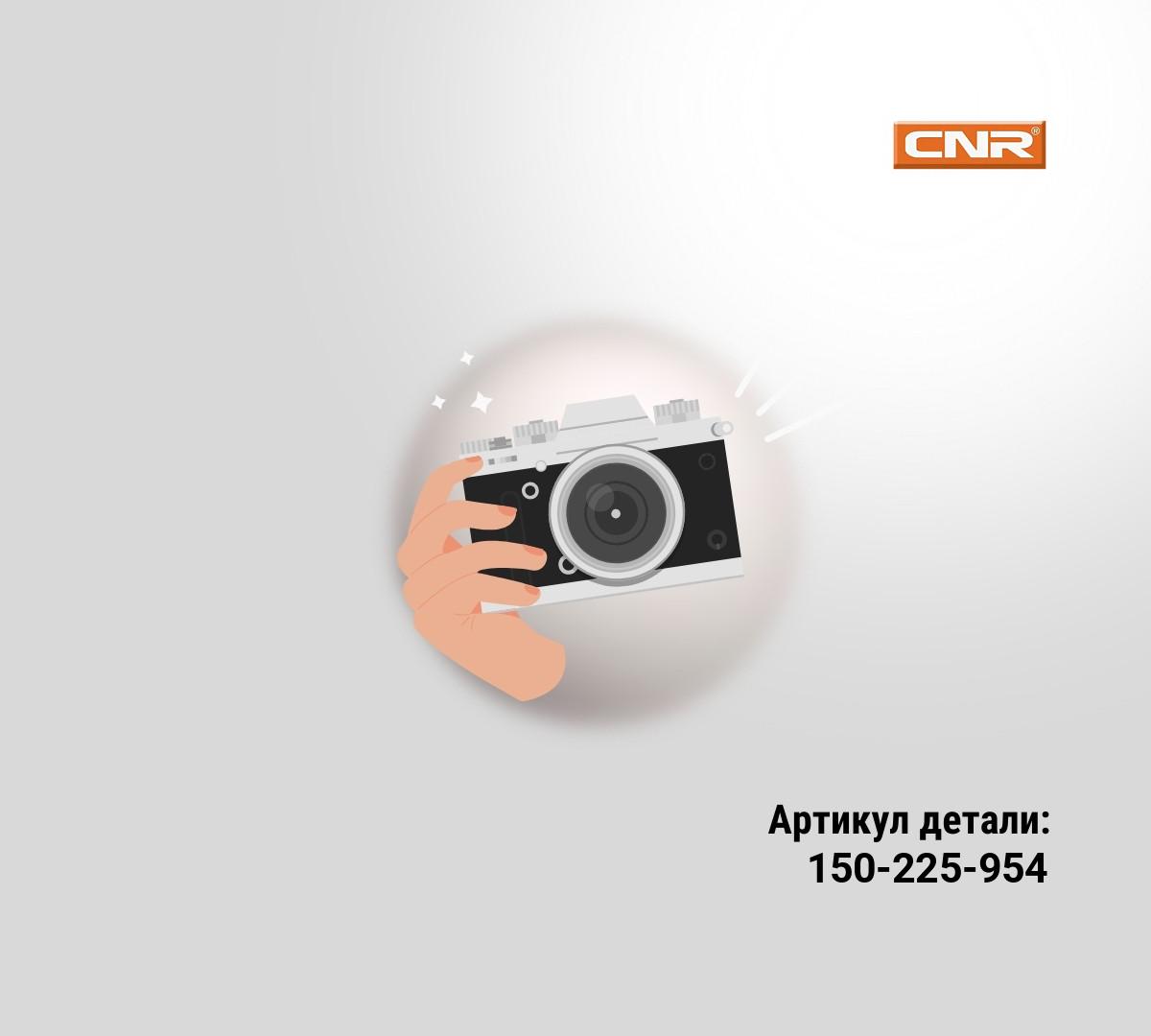 ЗАГЛУШКА НАСОС-ФОРСУНКИ ЗАГЛУШКА НАСОС-ФОРСУНКИ
